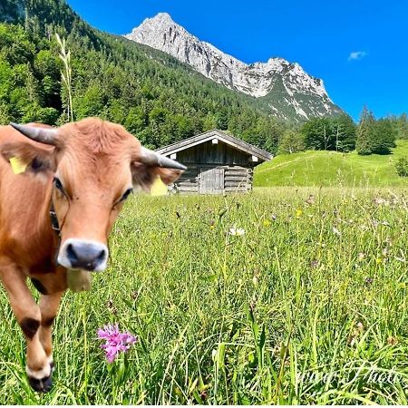 Sparfuchs - Fewo Resi Mittenwald Extérieur photo